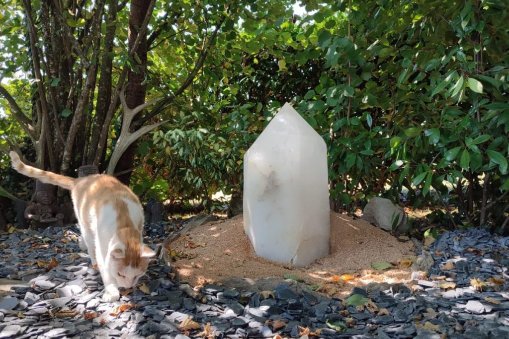 IMG-20220731-WA0021-1200x800-1