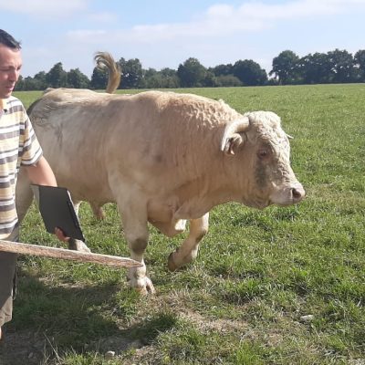 Image-2021-10-04-at-15.28.04