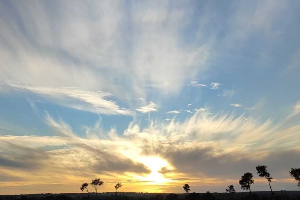 image_viber_2022-07-13_13-54-05-389-1200x800-1