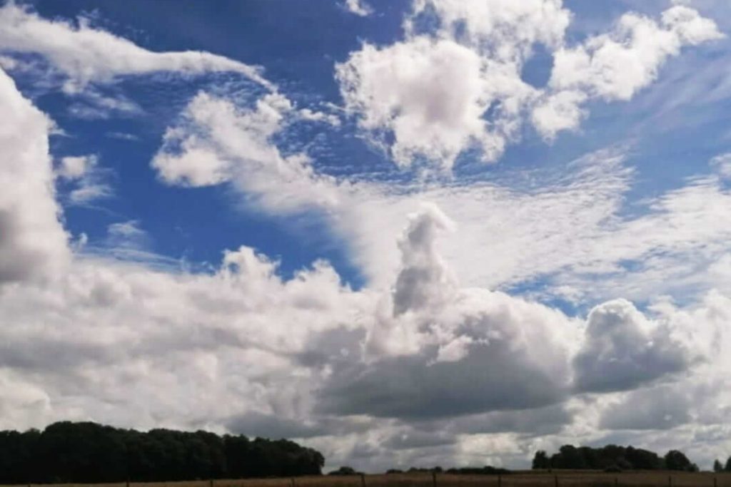 image_viber_2022-07-13_13-54-07-172-1200x800-1