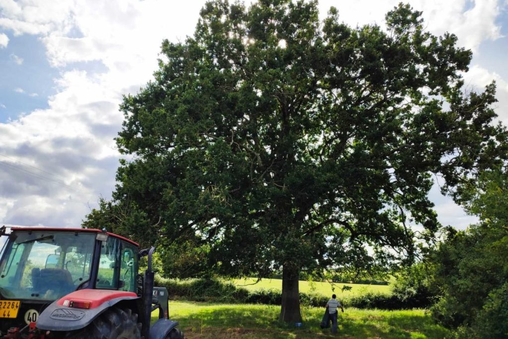 image_viber_2022-07-13_13-54-25-463-1200x800-1