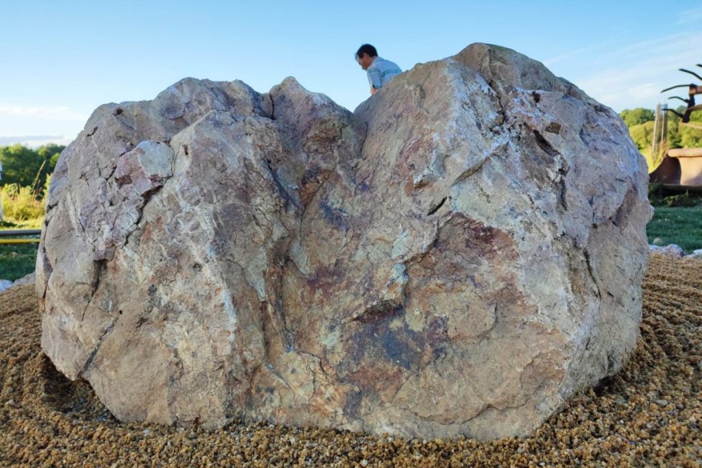 viber_image_2022-07-25_14-09-18-376-1200x800-1